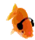 fishJAM emote