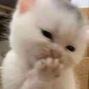 jiji emote
