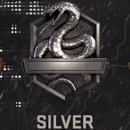 COD_Silver emote