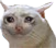 kat emote