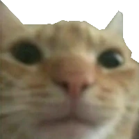 gusictransparent emote