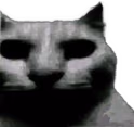uncannyCat emote