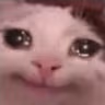 SadCat emote