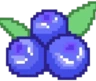 pixel_blueberries emote