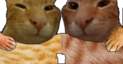 buhddies emote