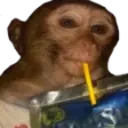 monkeySip emote