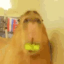 VeryPog emote