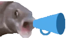 shoutoutfish emote