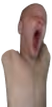 LIMBS emote