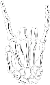 rockin emote