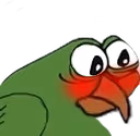 WirdgeShy emote