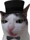 PoshCat emote