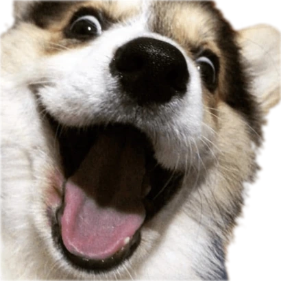 DogSmile emote
