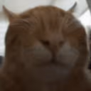 buhlind emote