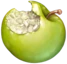 biten_apple emote
