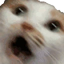 AAAA emote