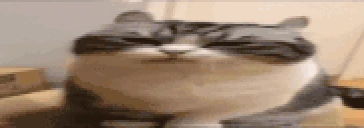 megaZEVLO emote