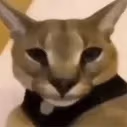 hecker emote