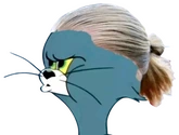 HaaLand emote