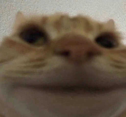 swagcat emoji