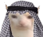 HalalCat emote