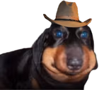 Ermftcowboyhat emote