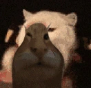 buhShakey emote