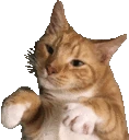 dance emote