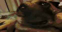 doc_2022_08_24_18_41_29 emote