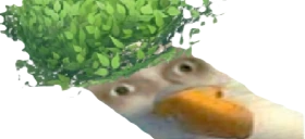 krzaku emote