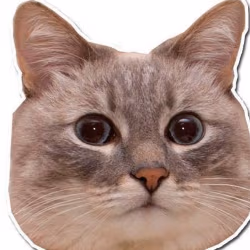 Sallamander emote