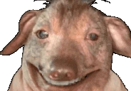 creaturePretendingToBeHappyWhileSufferingInAgonizingPain emote