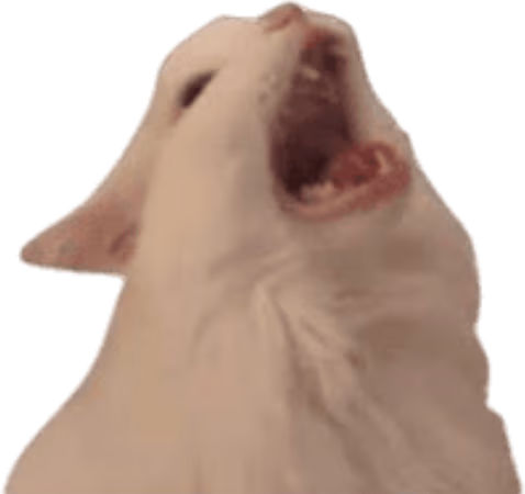 Screaming_Cat emote