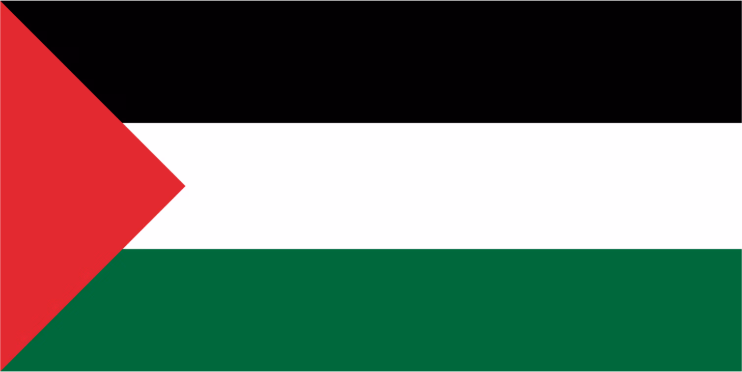 Palestine_flag emote