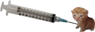 fentbert emote