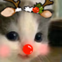 Hehe emote