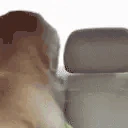 hehe emote