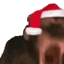 MONKE emote