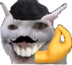 French_Catsmile emote