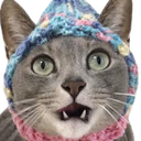 catShocked emote