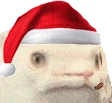 christmas_catlick emote