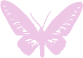 butterfly emote