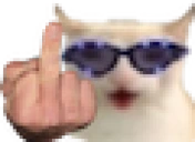 catFLIPPED emoji