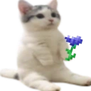 catsittingverycomfortableholdingacornflower emoji