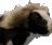 fabioCow emote