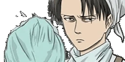 LeviCleaning emote