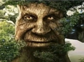 derevo emote