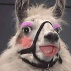 bonalds avatar