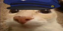 otagPolice emote