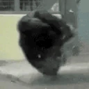 monkeySpin emote